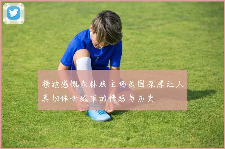 穆迪感慨森林狼主场氛围深厚让人真切体会城市的情感与历史
